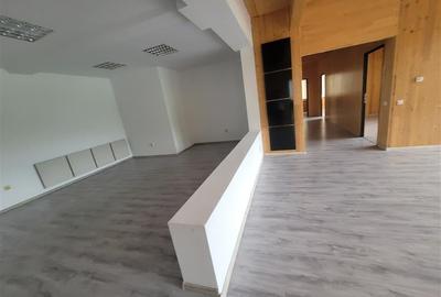 Birou, de 221 mp, în George Enescu - 5
