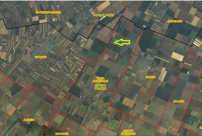 Teren de 10000 mp, în Valea Măcrișului