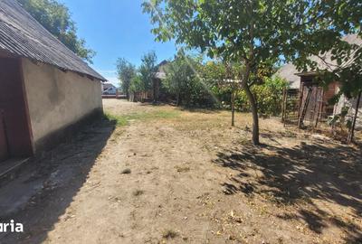 Casă cu 3 camere cu Teren 4741 Mp în Culciu
