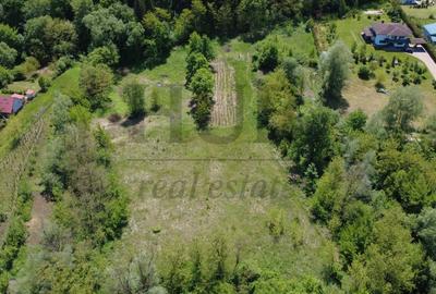 Teren Construcții intravilan de 3128 mp, în Luncani - 1