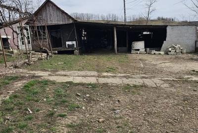 Casă cu 3 camere cu Teren 90 Mp în Pogăceaua - 6