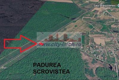 Teren Construcții intravilan de 1123.4599609375 mp, în Bălteni - 10