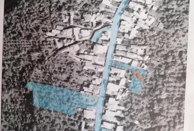 Teren în Buciumeni - 4