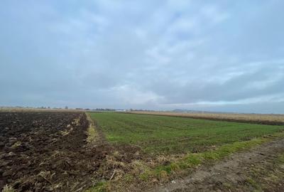 Teren agricol extravilan de 1300 mp, în Marginea - 1