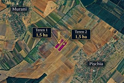 Teren de 30000 mp, în Pișchia
