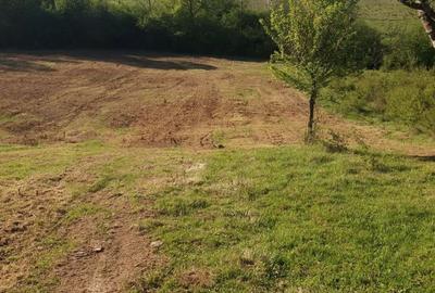 Teren în Mizieș - 2