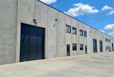 Spațiu industrial, de 550 mp, în Aradului