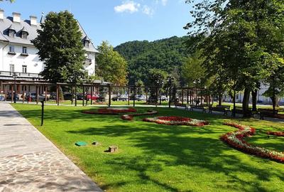Teren de 1304 mp, în Central - 6