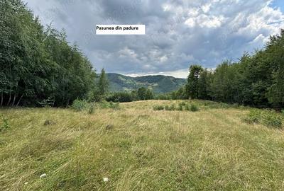 Teren de 35000 mp, în Parva - 1