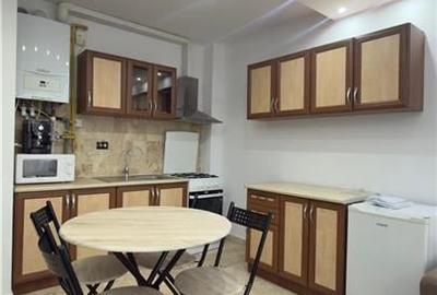 Apartament cu 2 camere semidecomandat în Grigorescu - 3