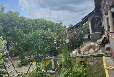 Casă cu 4 camere în Comana - 3