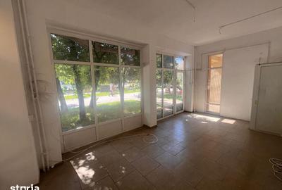 Spațiu comercial, de 20 mp, în Nicolina - 2