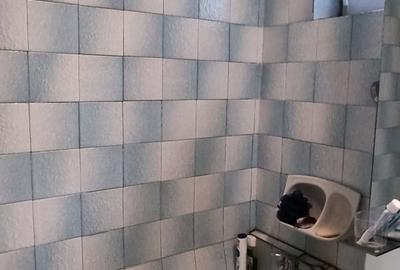 Apartament cu 3 camere decomandat în Tineretului - 12