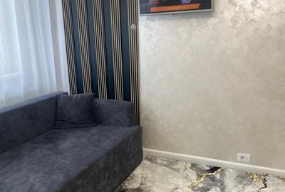 Casă cu 2 camere în Vișan - 2