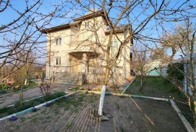Teren Construcții intravilan de 6000 mp, în Dascălu - 3