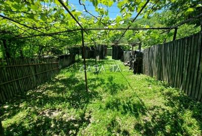 Casă individuală cu 3 camere cu Teren 913 Mp în Central - 13