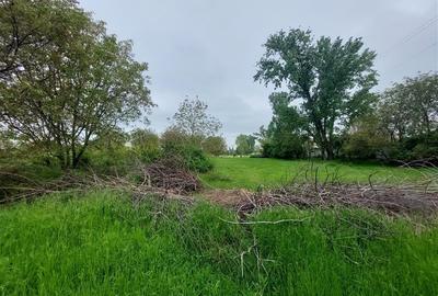 Teren agricol intravilan de 80000 mp, în Grădiște - 8