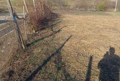 Teren de 800 mp, în Armeni - 3
