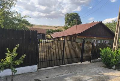 Casă cu 3 camere în Uileacu de Munte