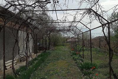 Casă cu 3 camere cu Teren 656 Mp în Fierbinți-Târg