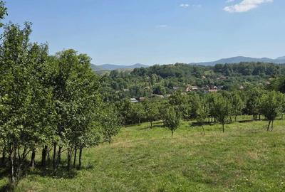 Spațiu comercial, în Cacova Ierii