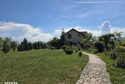 Casă cu 4 camere cu Teren 5095 Mp în Șoimuș - 15