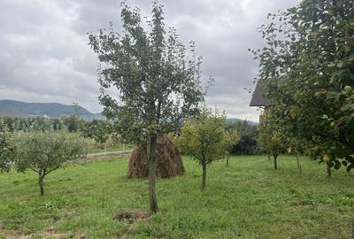 Teren de 750 mp, în Unirea - 5