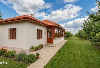 Casă cu 4 camere cu Teren 2700 Mp în Adunații-Copăceni