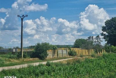 Teren de 27500 mp, în Săucești - 2