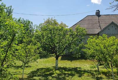 Casă cu 2 camere în Dersca - 5