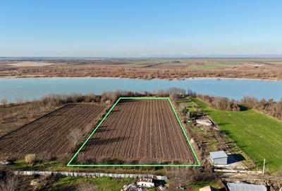 Teren Construcții intravilan de 16500 mp, în Dridu - 4