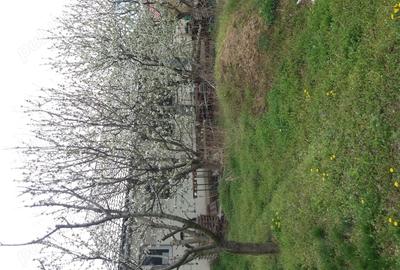 Casă în Chiscani - 6