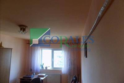 Apartament cu 3 camere decomandat în Lipovei - 12