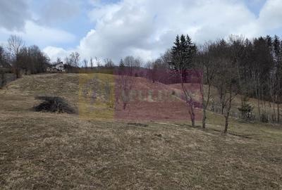 Teren Construcții intravilan de 2500 mp, în Valea Doftanei - 4