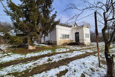 Teren de 5950 mp, în Scorțeni - 4