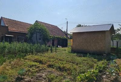 Casă cu 2 camere cu Teren 334 Mp în Vinerea - 1