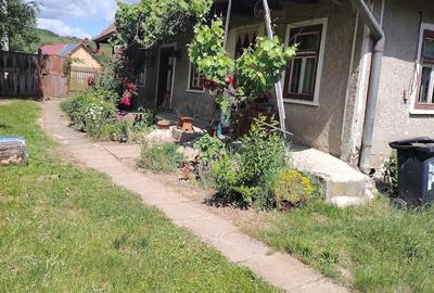 Casă cu Teren 2840 Mp în Dobolii de Sus - 3