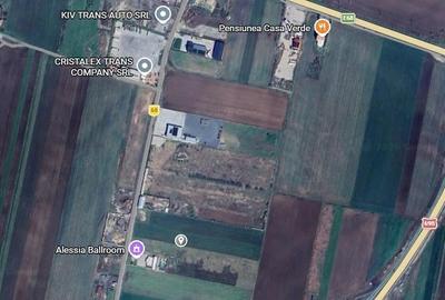 Teren de 10000 mp, în Vladimirescu - 1