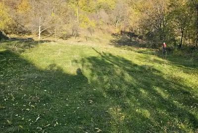 Teren de 949 mp, în Sălătrucel - 8