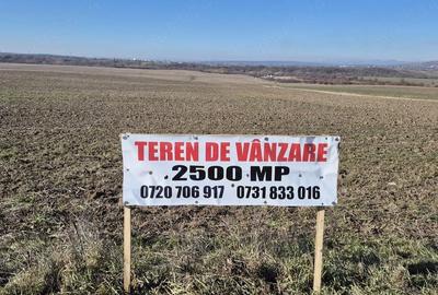 Teren de 2500 mp, în Bucov - 3