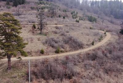Teren Construcții intravilan de 1751 mp, în Scăricica - 5