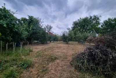 Teren Construcții de 1668 mp, în Cetate