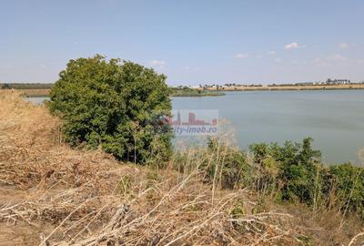 Teren Construcții intravilan de 1593 mp, în Ciocănești - 4