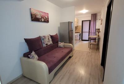 Apartament cu 2 camere semidecomandat în Copou - 8
