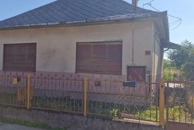 Casă cu 2 camere în Viile Apei - 3