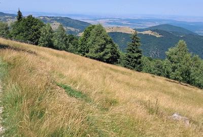 Teren de 1870 mp, în Paltin