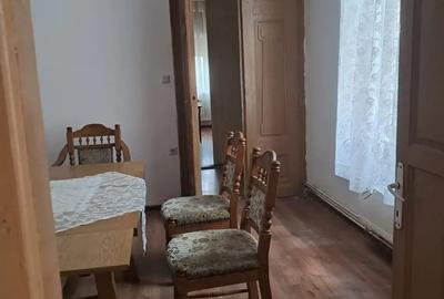 Casă cu 5 camere cu Teren 4000 Mp în Lugoj