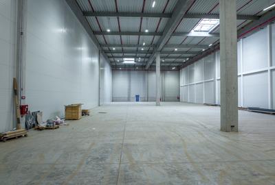 Spațiu industrial, de 27 mp, în Exterior Est - 8