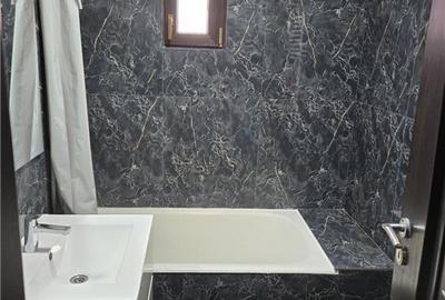 Apartament cu 2 camere decomandat în Podul de Fier - 7