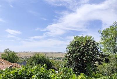 Teren agricol intravilan de 15773 mp, în Podu Turcului